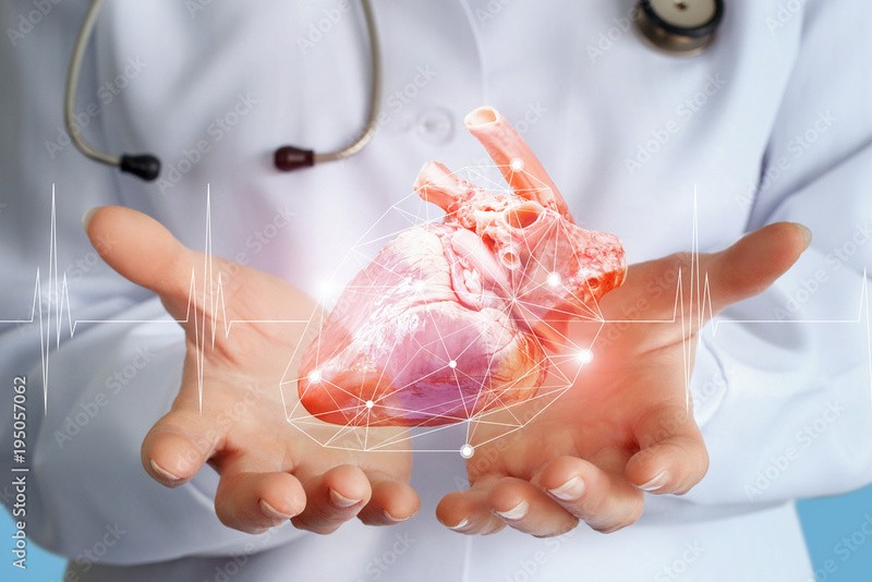 Clínica de exame cardiologia aparecida de goiânia